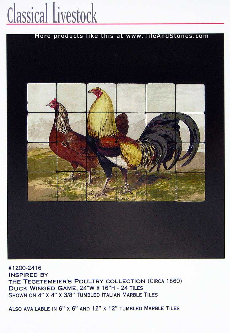 Click on the image to see LARGE version of it