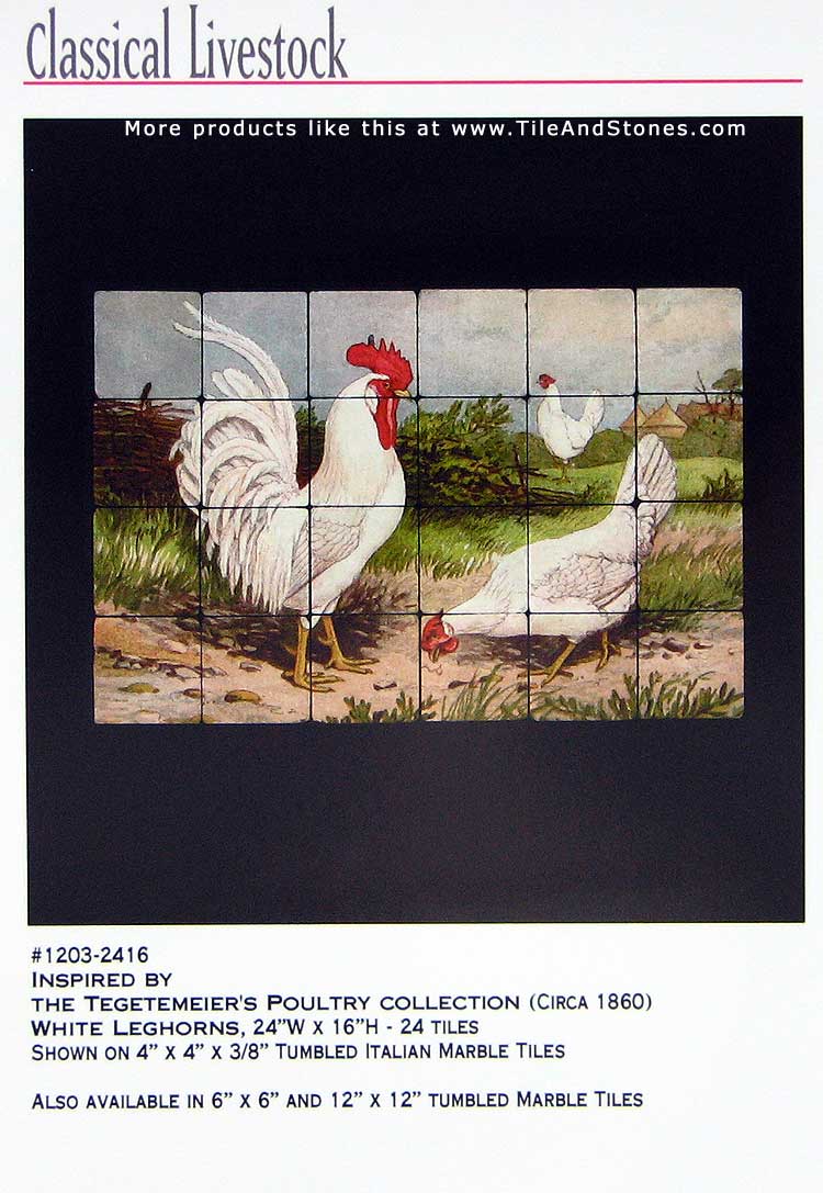 Click on the image to see LARGE version of it